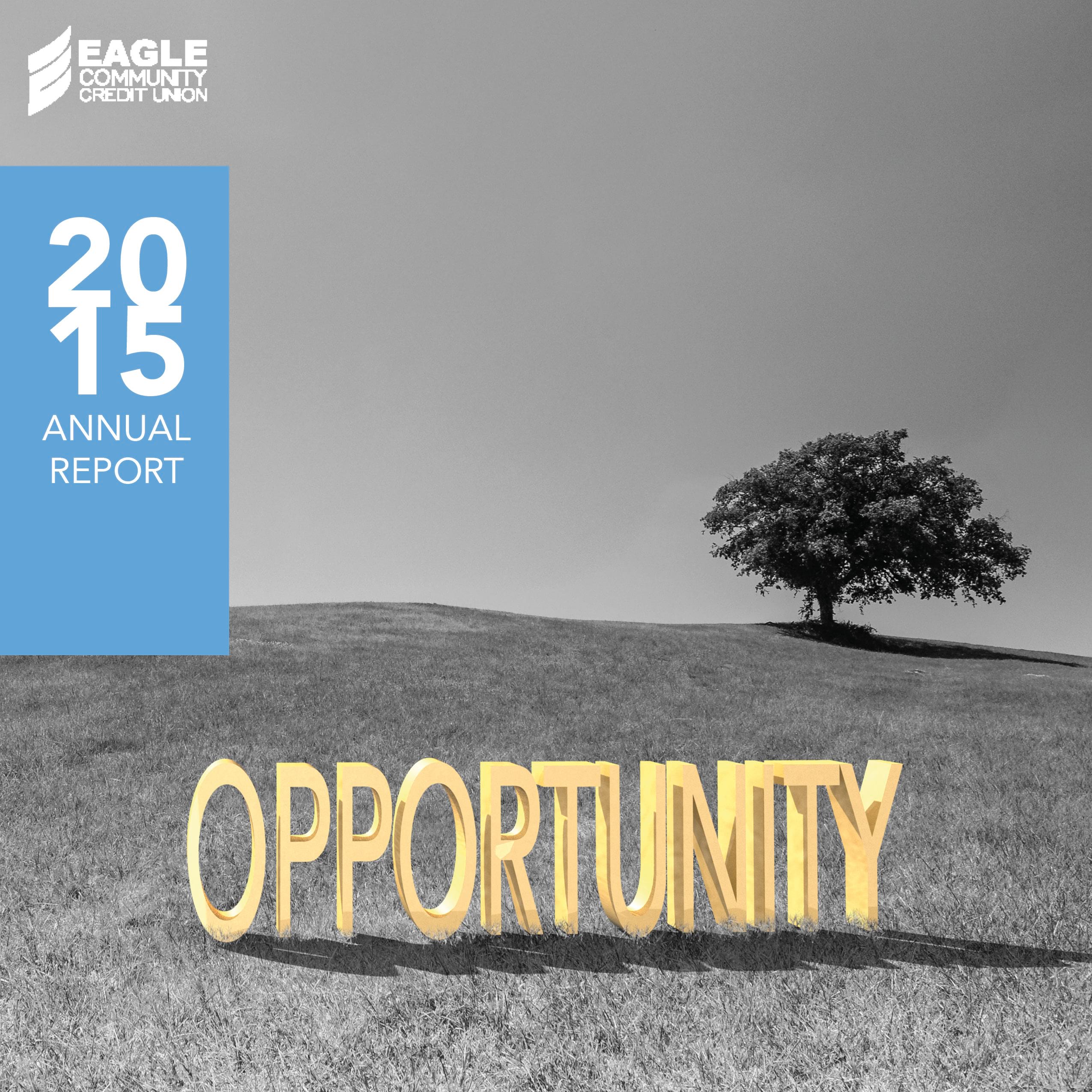 Annual Report 2015 Cover